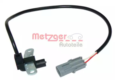 metzger 0902013