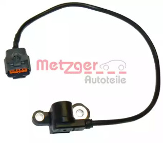 METZGER 0902163