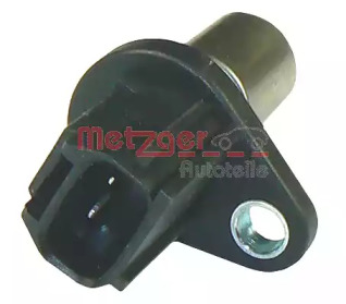 METZGER 0903172