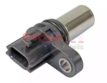 metzger 0903175