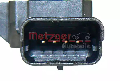 metzger 0906119