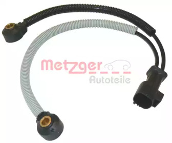 metzger 0907022