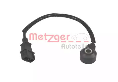 METZGER 0907089