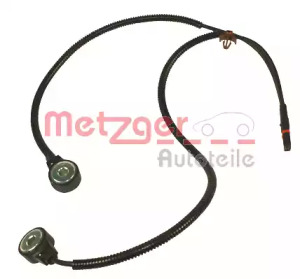 metzger 0907093