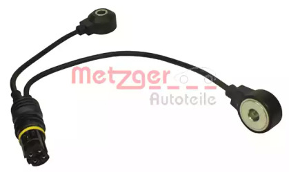metzger 0907097
