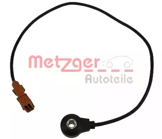 METZGER 0907098