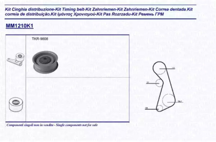 MAGNETI MARELLI 341312101101